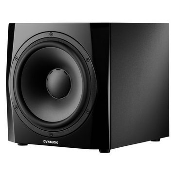 Dynaudio Subwoofer (9S - Studio Subwoofer)