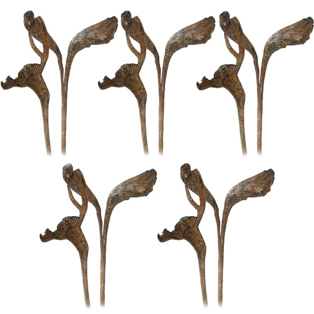 Kunstblume Geweihhölzer lackiert Naturdeko Dekozweige natur günstig online kaufen