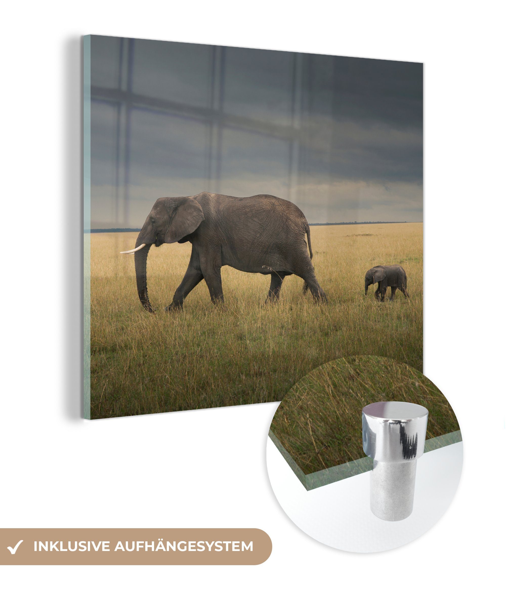 MuchoWow Acrylglasbild Elefant - Savanne - Tiere - Natur, (1 St), Glasbilder - Bilder auf Glas Wandbild - Foto auf Glas - Wanddekoration