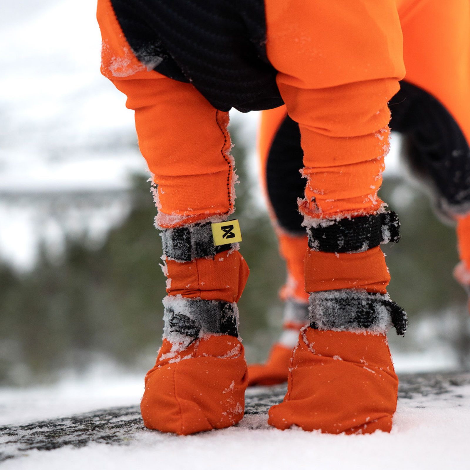 Non-stop dogwear Pfotenschutz Contact Bootie High 4er 132 Pfotenschutz, Hochgeschnittene Hundebooties