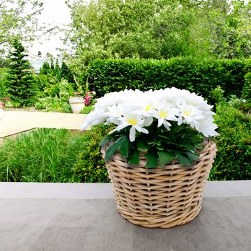 Spetebo Pflanzkübel Rattan Pflanztopf mit Kunststoff Einsatz (Stück, 1 St., 1), 33 x 24 cm - Garten Deko Blumenkorb natur