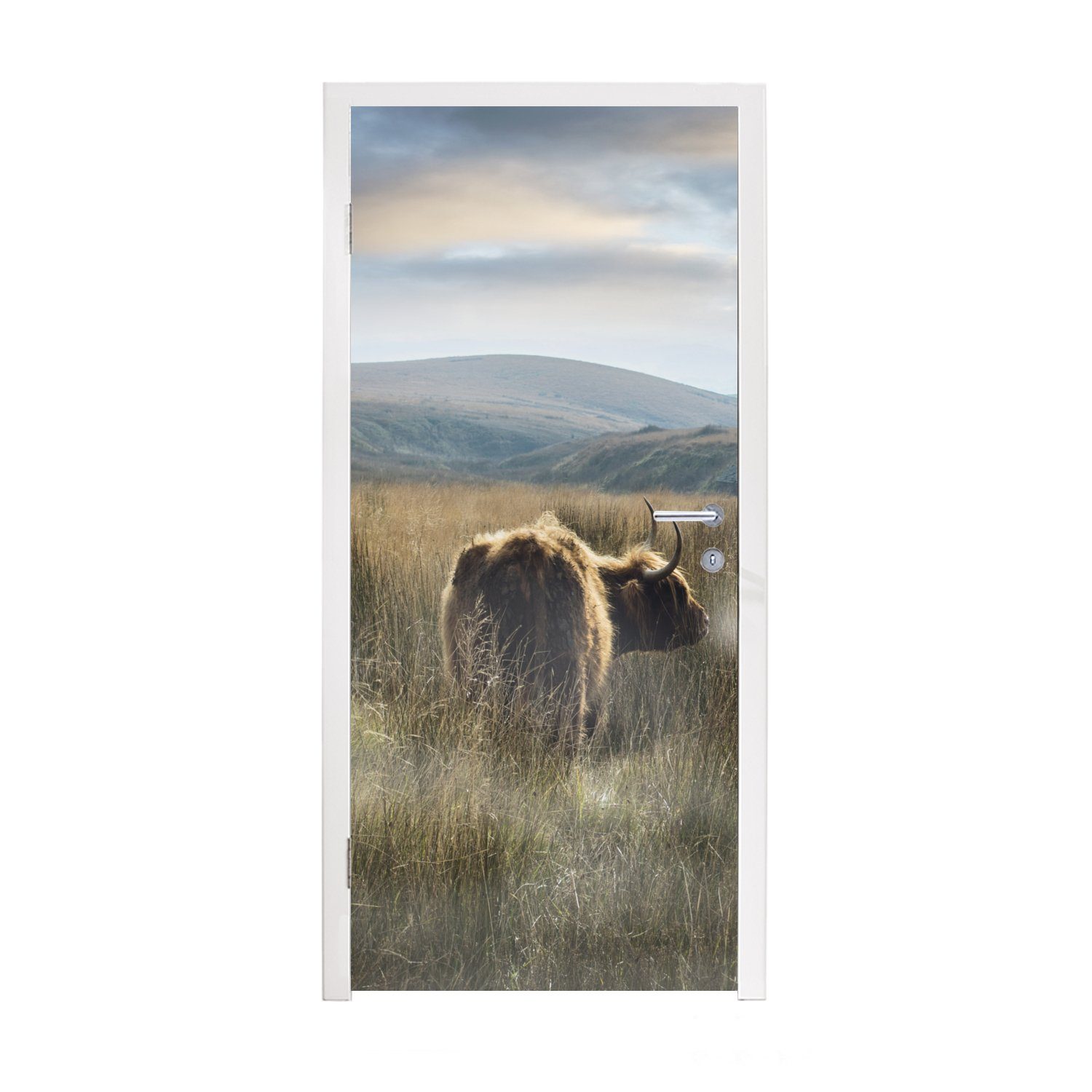 MuchoWow Türtapete Schottische Highlander - Nebel - Gras, Matt, bedruckt, (1 St), Fototapete für Tür, Türaufkleber, 75x205 cm