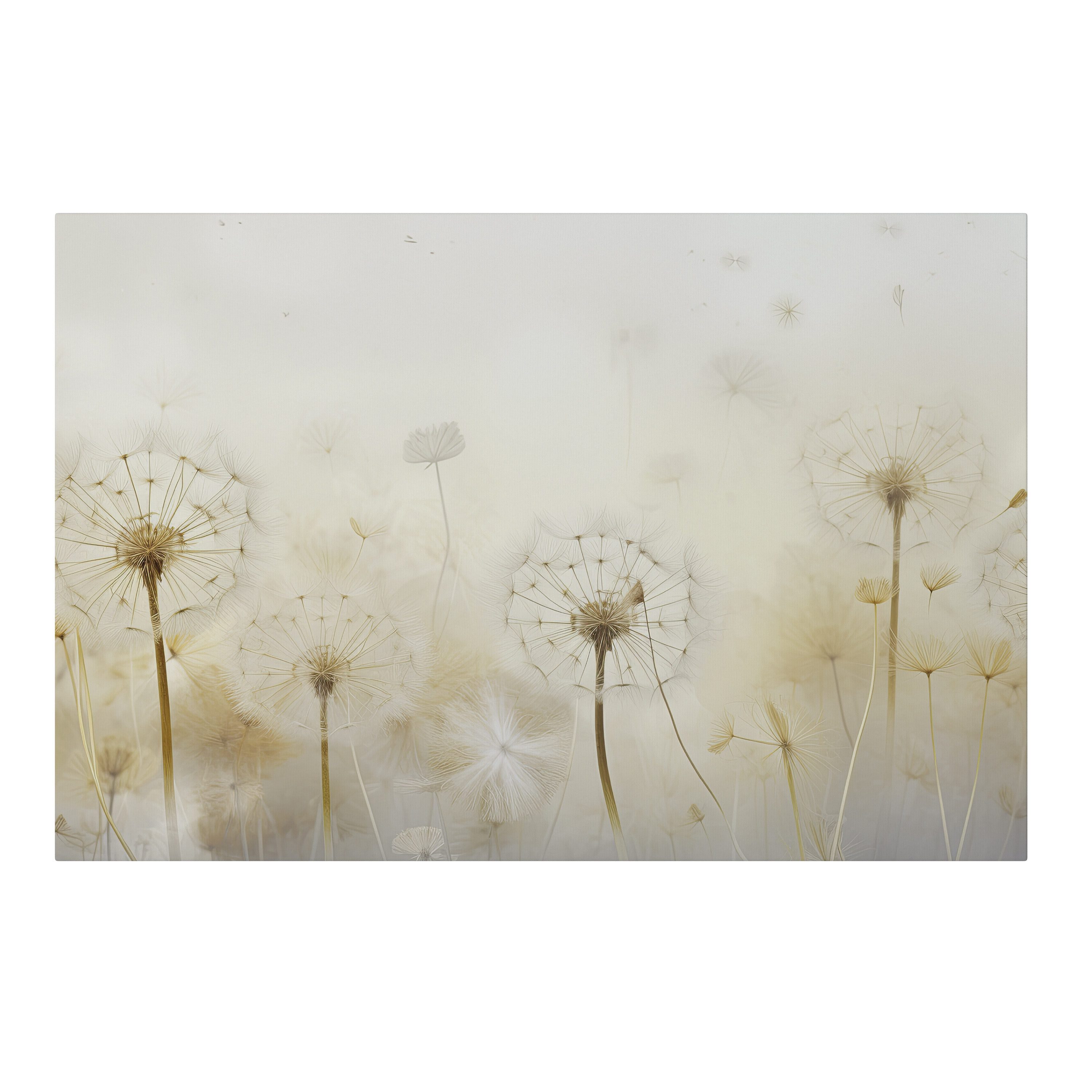 SPACEREBELS Leinwandbild DREAMY DANDELION FIELDS, Blumen & Pflanzen (1 St), 3 cm Keilrahmen, Baumwollleinwand