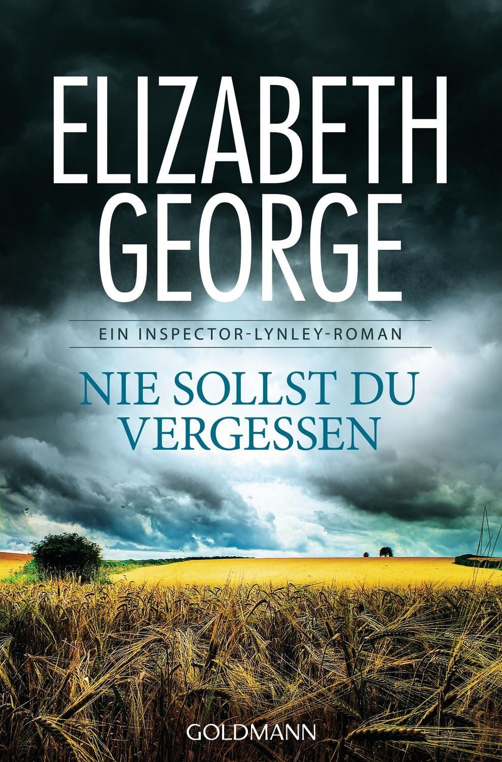 Nie sollst du vergessen / Elizabeth George, Roman