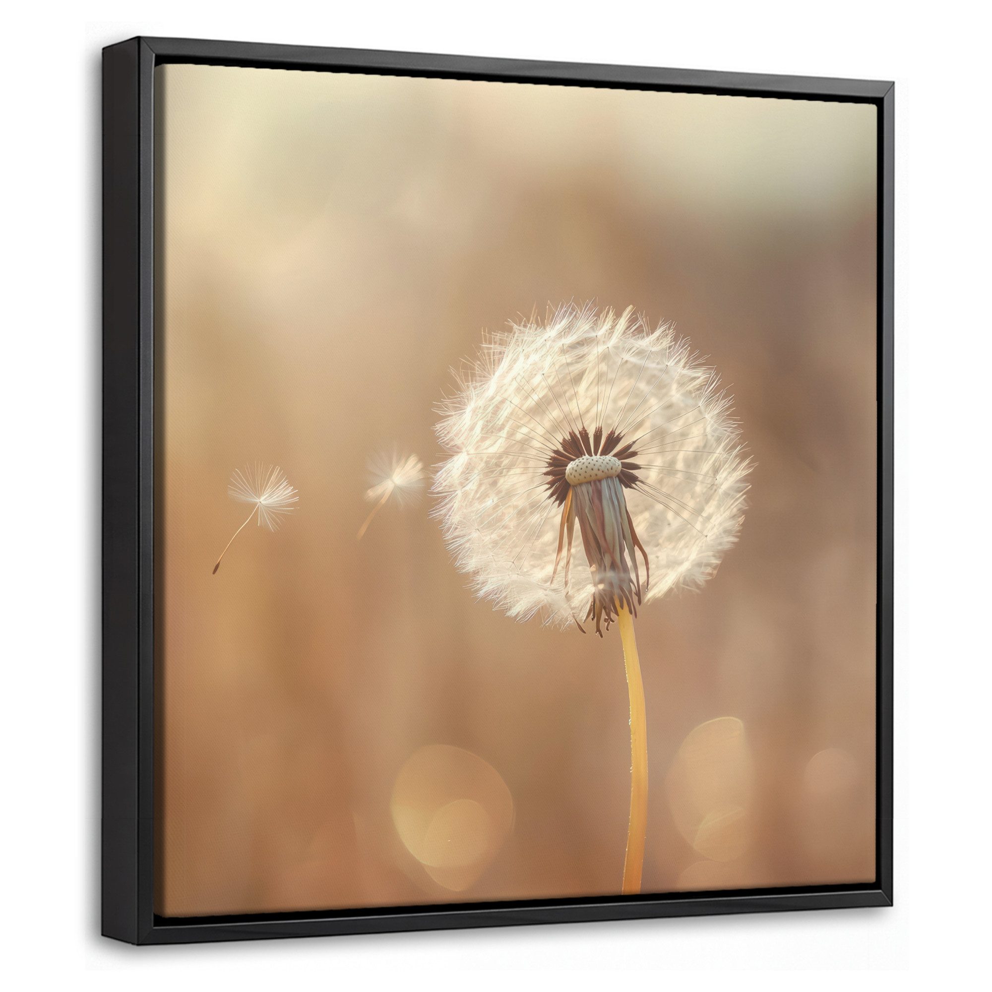 OneMillionCanvasses® Leinwandbild mit Rahmen - Löwenzahn - Beige - Natur - Blume, Fotodruck (1 St), Leinwand Bilder Klein, Wand Dekoration Aesthetic 20x20cm