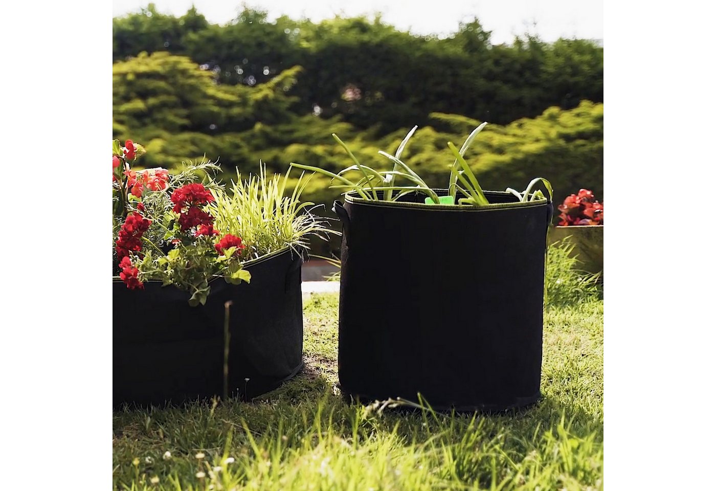 Thumbnail - Praknu Pflanzkübel 5x Pflanzsack - 30 Liter Schwarz (Set, 5 St), Pflanzen
