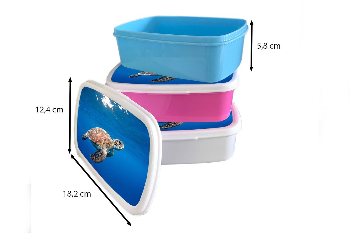 MuchoWow Lunchbox Schildkröte im Brotbox Ozean, Brotdose, Jungs Mädchen (2-tlg), Kunststoff, für Kinder Erwachsene, und weiß und für