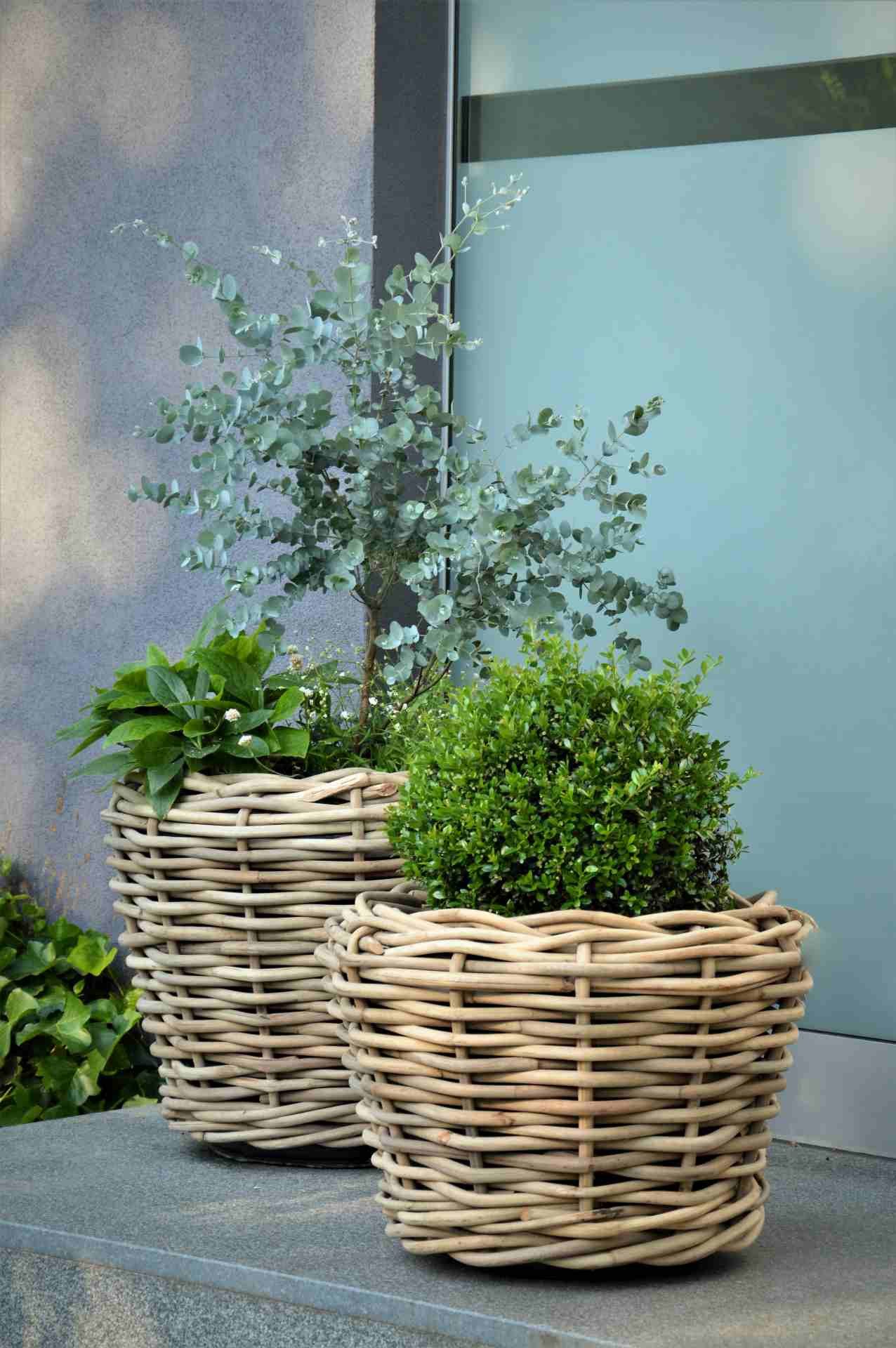 jankurtz Blumenkasten Pflanzenkorb Palau aus Naturrattan, Ø 57 cm, Innentopf aus Kunststoff mit Ablauflöchern, Ø 40 cm