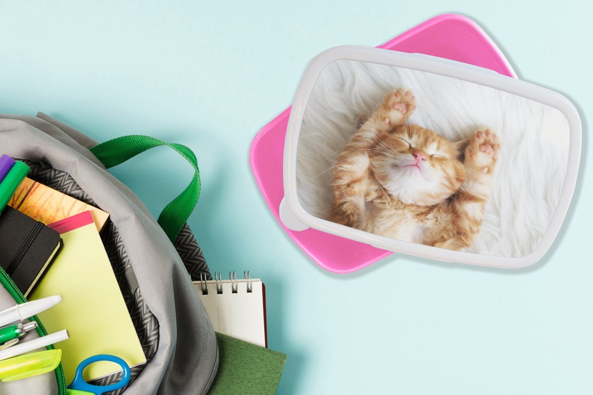 - Kinder, Snackbox, Brotdose - Brotbox - Rot für Mädchen, MuchoWow Kunststoff, Kätzchen, Lunchbox Erwachsene, rosa Kunststoff (2-tlg), Haustiere Katze