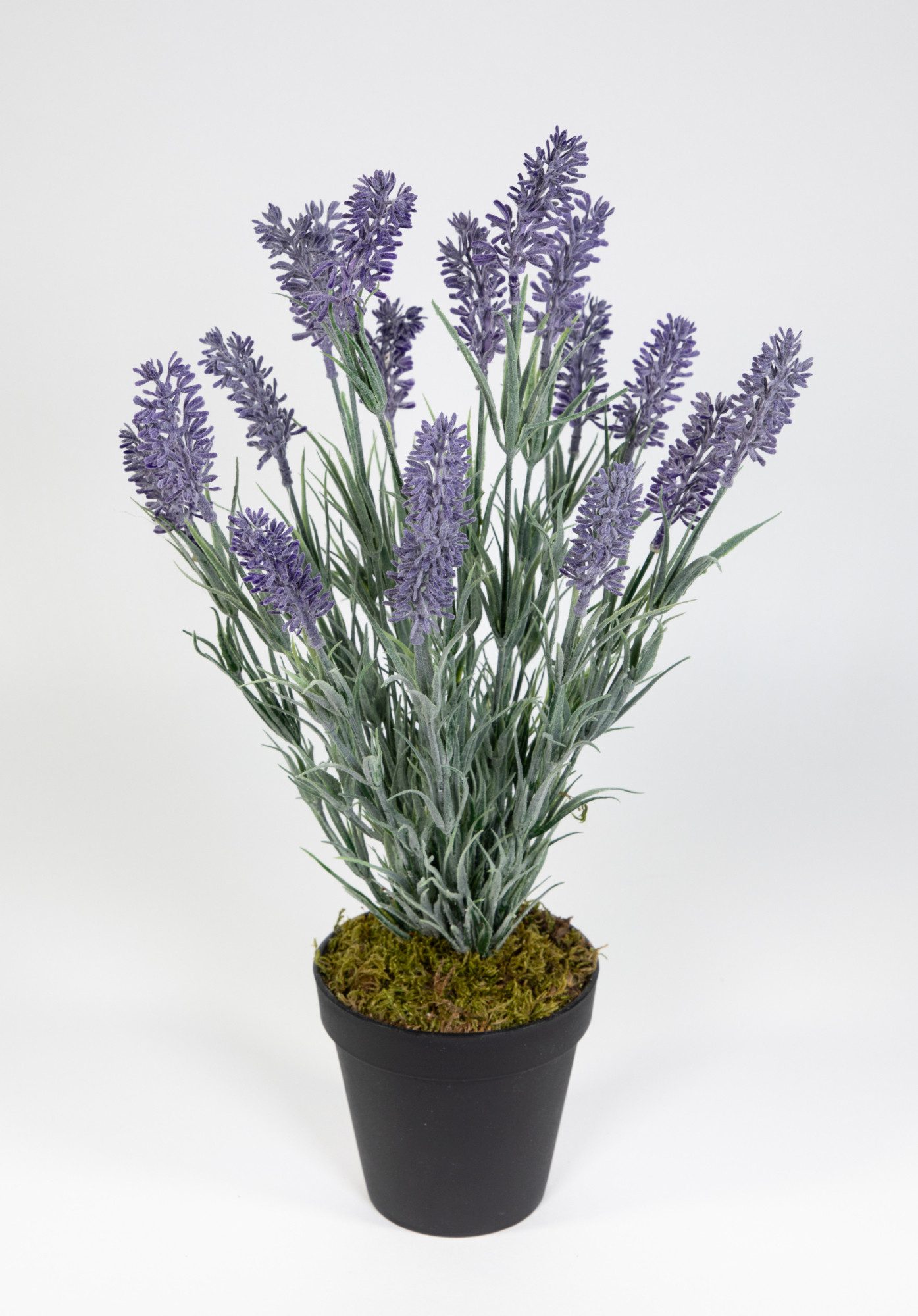 Kunstblume Künstlicher Lavendelbusch 54cm im Topf FI Kunstpflanzen Blumen P günstig online kaufen