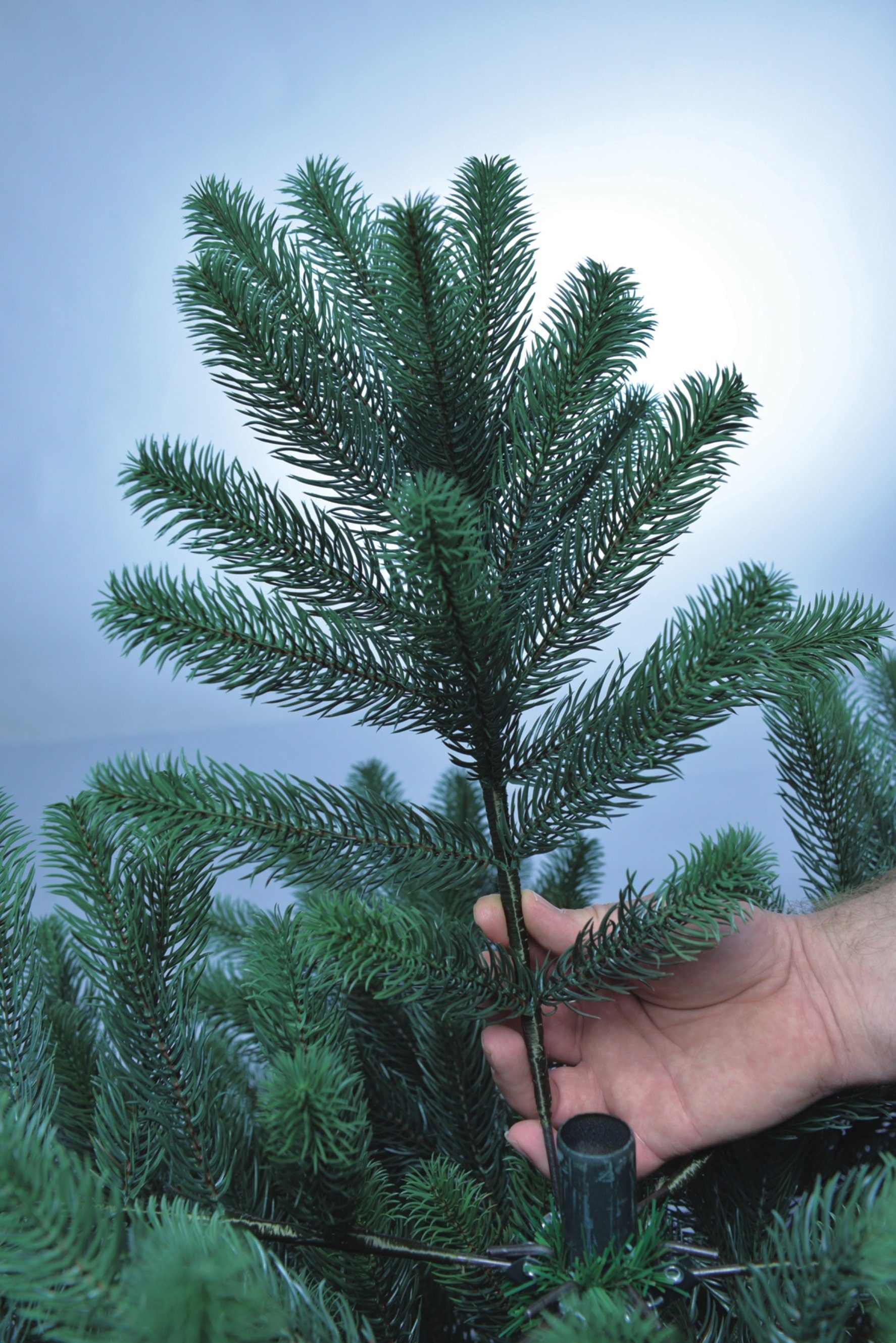 Xenotec Künstlicher Weihnachtsbaum Xenotec Premium Weihnachtsbaum–im Spritzgussverfahren hergestellt, Spritzguss, Nordmanntanne, natürlich eingefärbte Zweige – Bild 5 von 5