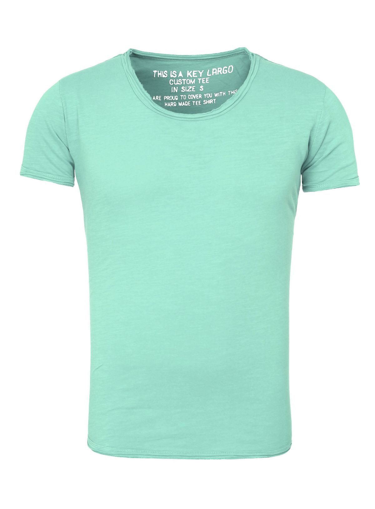 turquoise (1213)