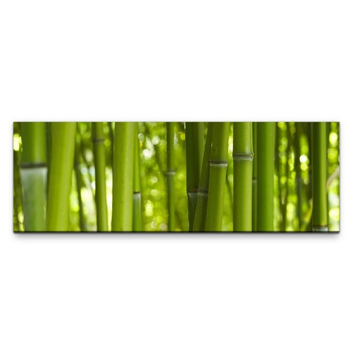 möbel-direkt.de Leinwandbild Bilder XXL Bambushalme grün Wandbild auf Leinwand