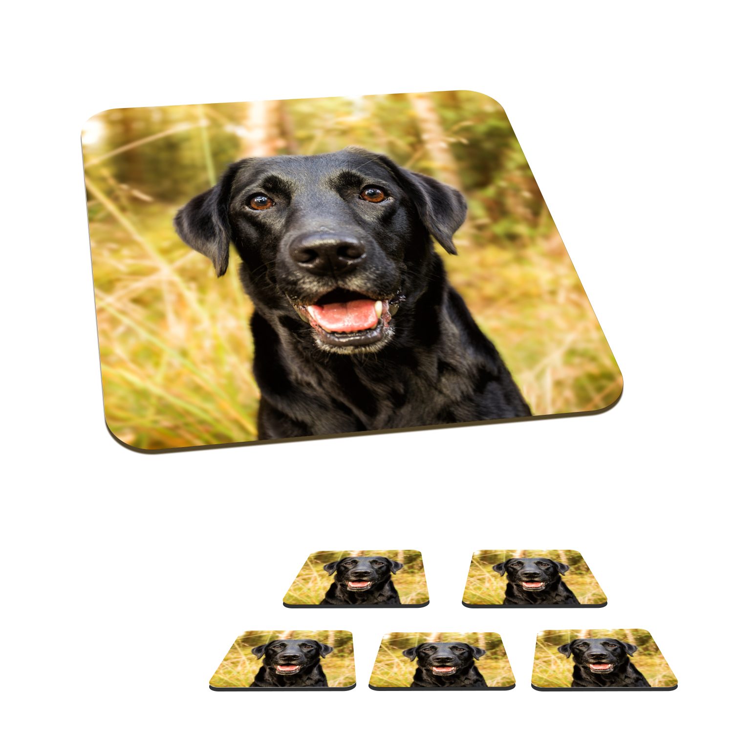 MuchoWow Glasuntersetzer Glücklicher schwarzer Hund, Zubehör für Gläser, 6-tlg., Glasuntersetzer, Tischuntersetzer, Korkuntersetzer, Untersetzer, Tasse