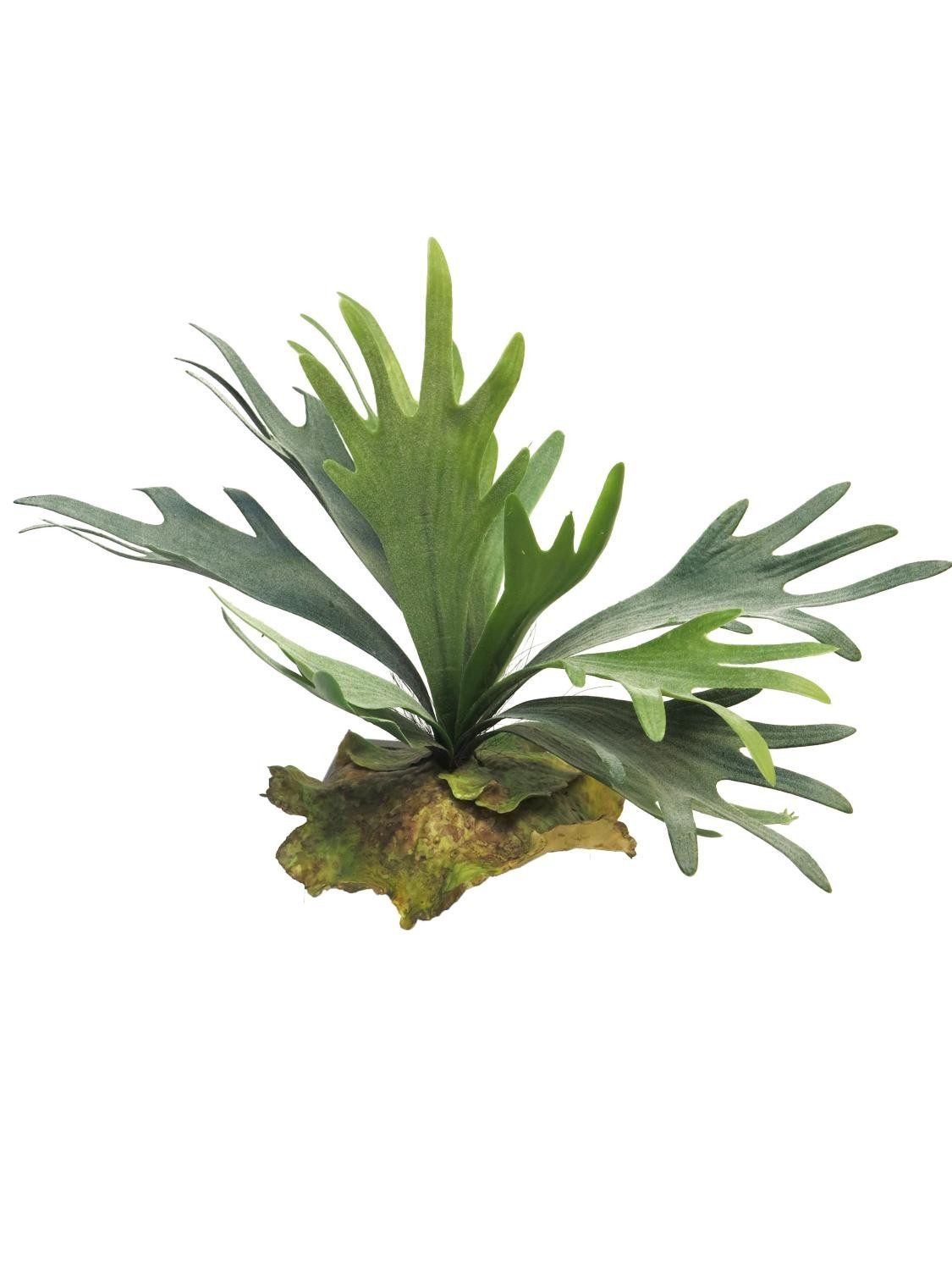 Künstliche Zimmerpflanze Künstliche Pflanze Geweihfarn MIAOLI, Steckstab, grün, 25 cm Farn (Geweihfarn), artplants