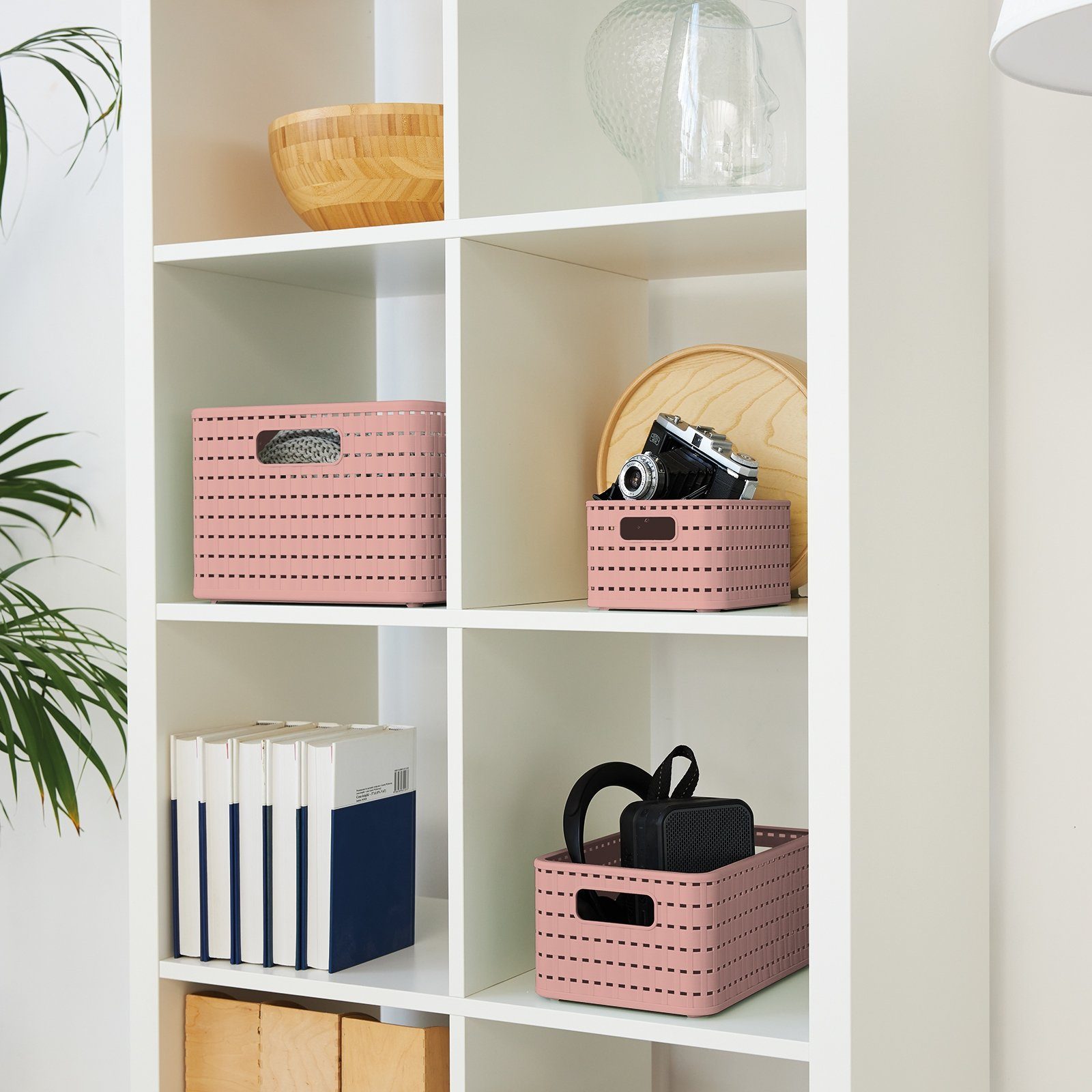 Kunststoff Linnea Aufbewahrungskiste BPA-frei Rattan-Optik, Country Aufbewahrungsbox 18l (PP) pink ROTHO ged. in