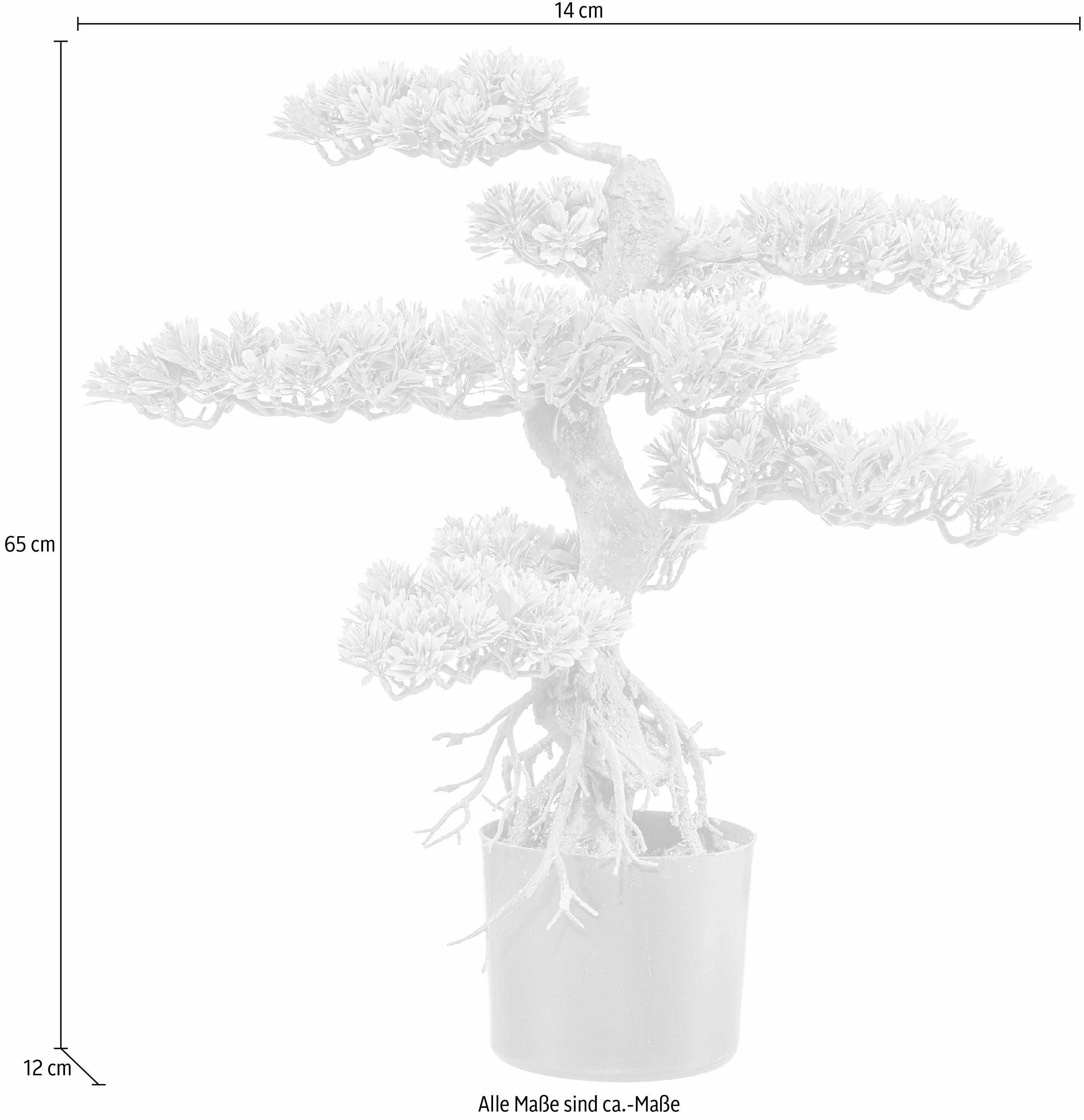 Kunstbonsai Bonsai Bonsai, Creativ green, Höhe günstig online kaufen