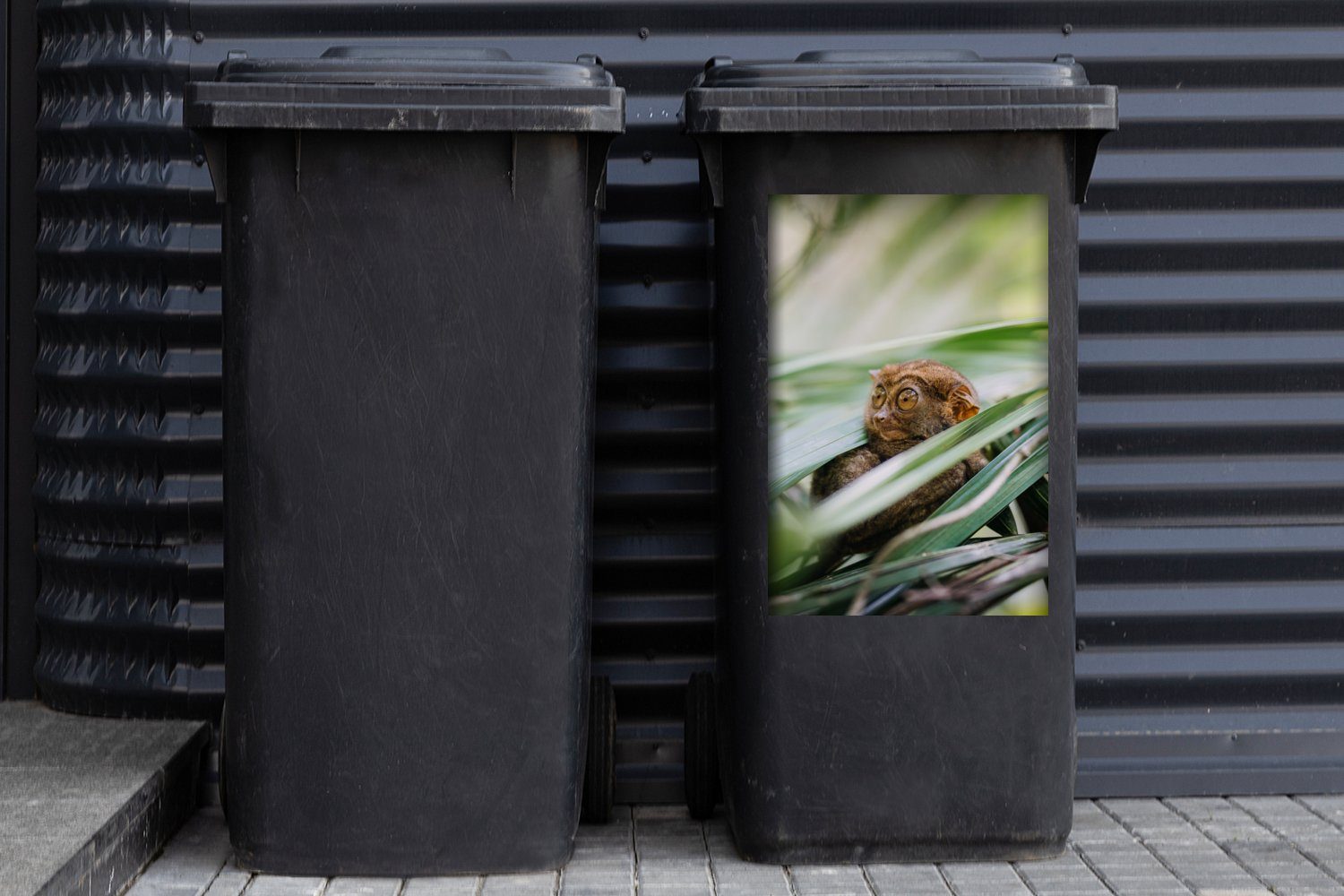 MuchoWow Wandsticker Philippinisches Geistertier inmitten der Mülleimer-aufkleber, Blätter St), Abfalbehälter Mülltonne, (1 Sticker, Container