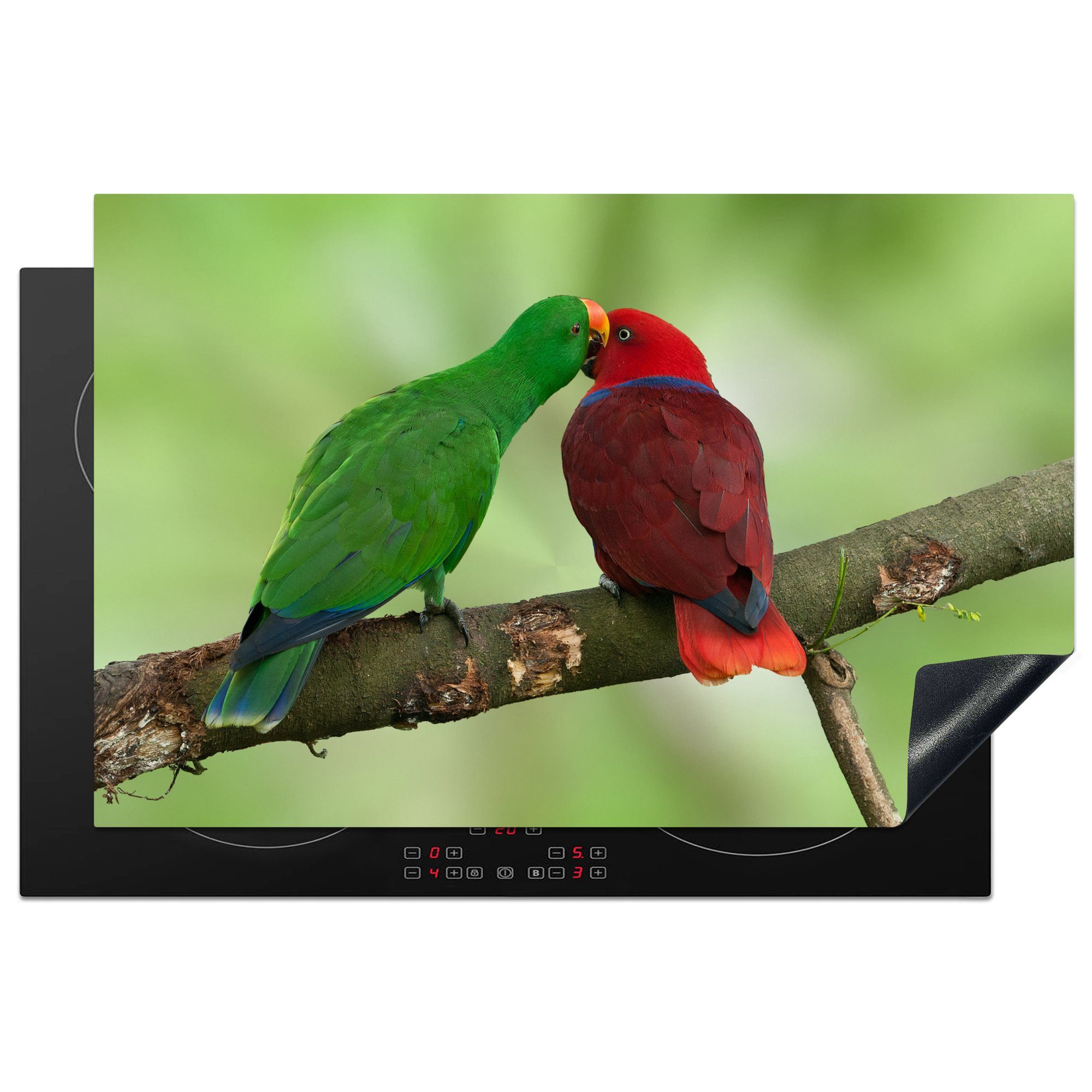 MuchoWow Herdblende-/Abdeckplatte Zwei rotbeinige Papageien auf einem Ast kuscheln miteinander, Vinyl, (1 tlg), 81x52 cm, Induktionskochfeld Schutz für die küche, Ceranfeldabdeckung