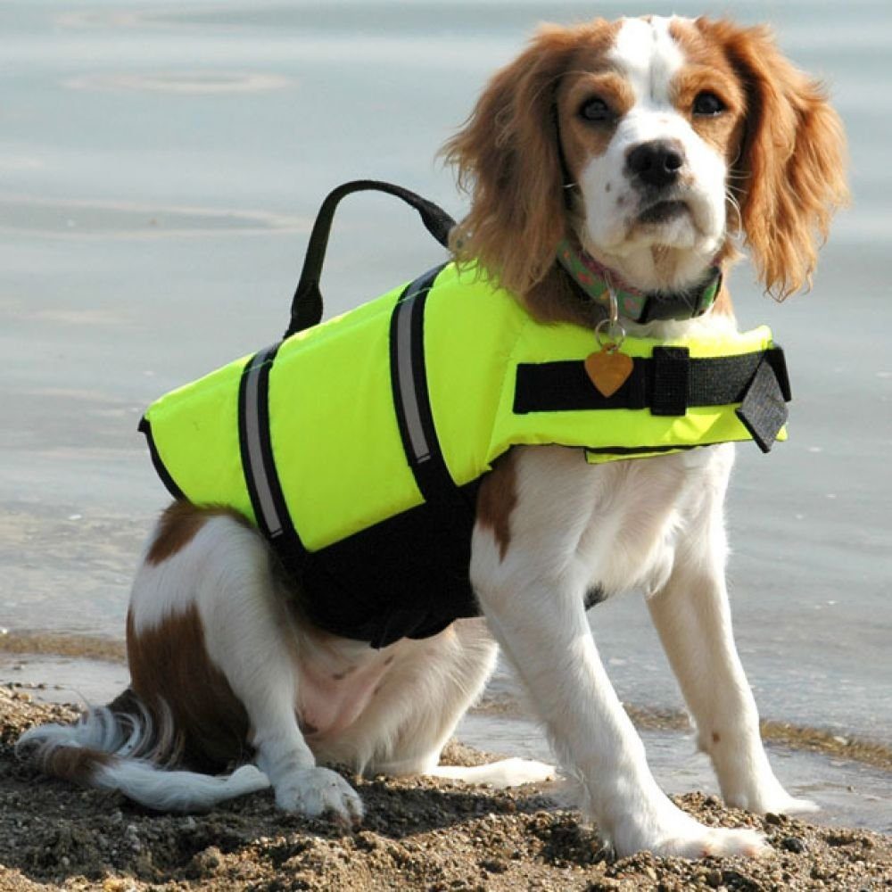Sportlicher Reißfeste Sti mit Neu Hervorragendem Hunde-Schwimmweste GelldG Schwimmweste