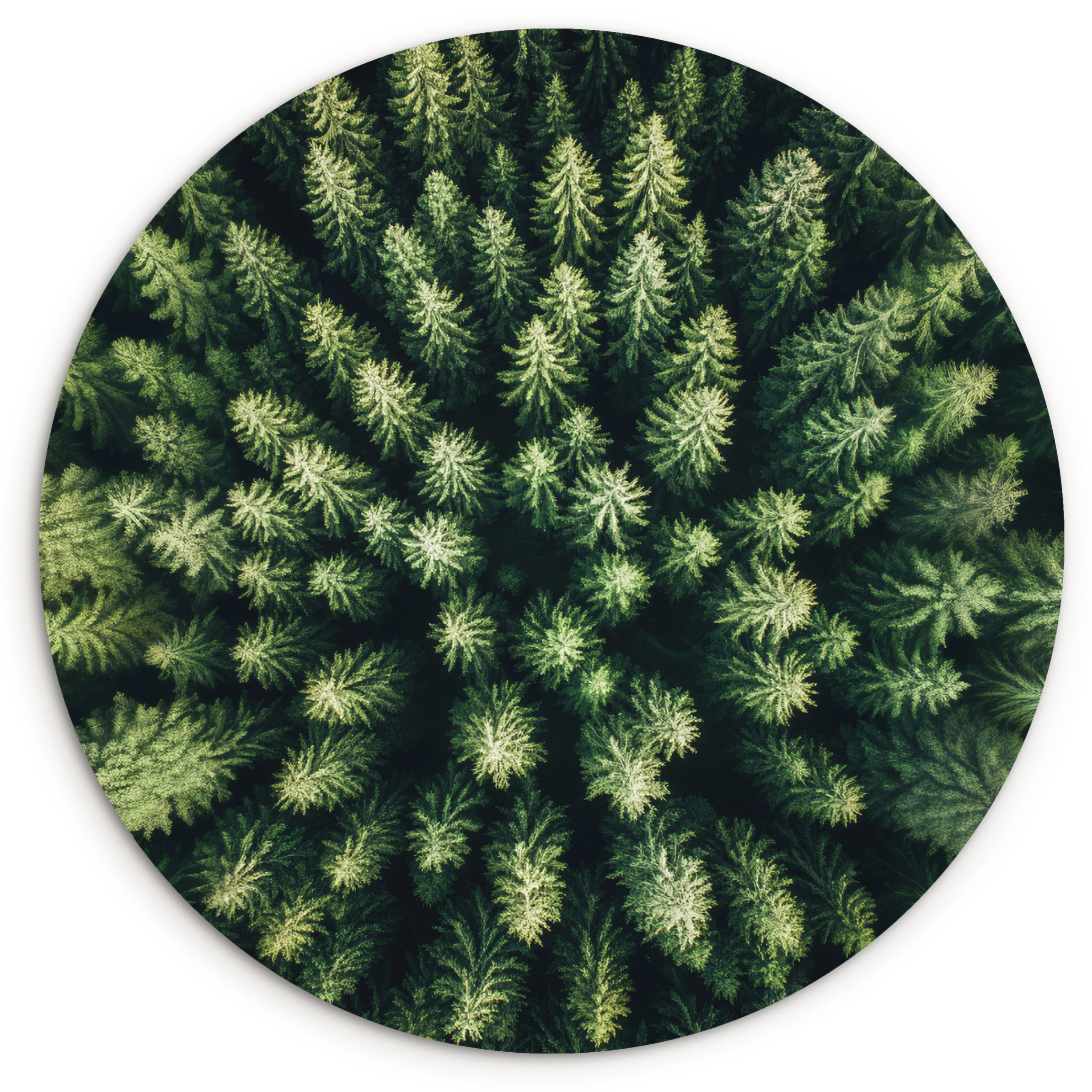 MuchoWow Gemälde Bäume - Nadelwälder - Struktur, Fotodruck (1 St), Kreis Wanddekoration, Rundes Wandbild, 30x30 cm