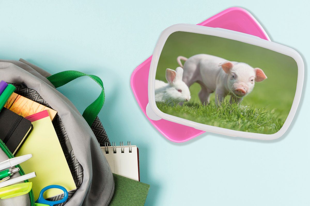 MuchoWow Lunchbox Ferkel rosa Erwachsene, - Mädchen, für Kunststoff Kunststoff, Kaninchen Brotdose Brotbox Kinder, Snackbox, Tiere, - (2-tlg)