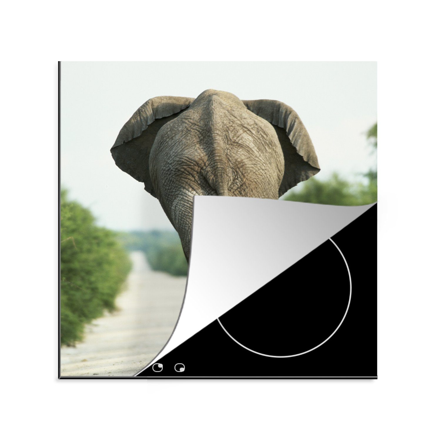 MuchoWow Herdblende-/Abdeckplatte Elefant - Kröte - Tiere - Natur, Vinyl, (1 tlg), 78x78 cm, Ceranfeldabdeckung, Arbeitsplatte für küche