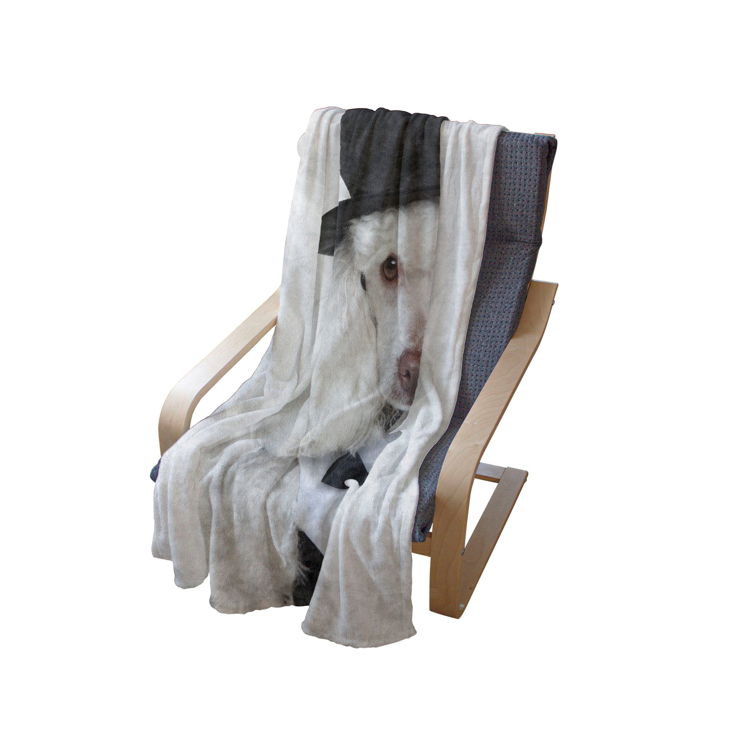 Wohndecke Gemütlicher Plüsch für den Hut Abakuhaus, einem und Innen- Portrait Hunde Blick Sad Außenbereich, in