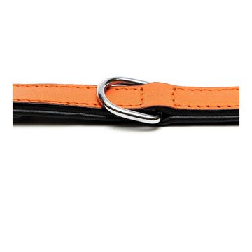 Gloria Hundeleine Gloria Hundehalsband Polsterung Orange 55 x 2,5 cm, Leder