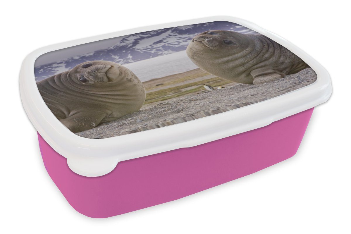 MuchoWow Lunchbox Robben Brotdose Lustig - Kinder - Erwachsene, Mädchen - (2-tlg), Kunststoff, Brotbox - für Kinder, Kinder, Kunststoff Jungen rosa - Snackbox, Mädchen