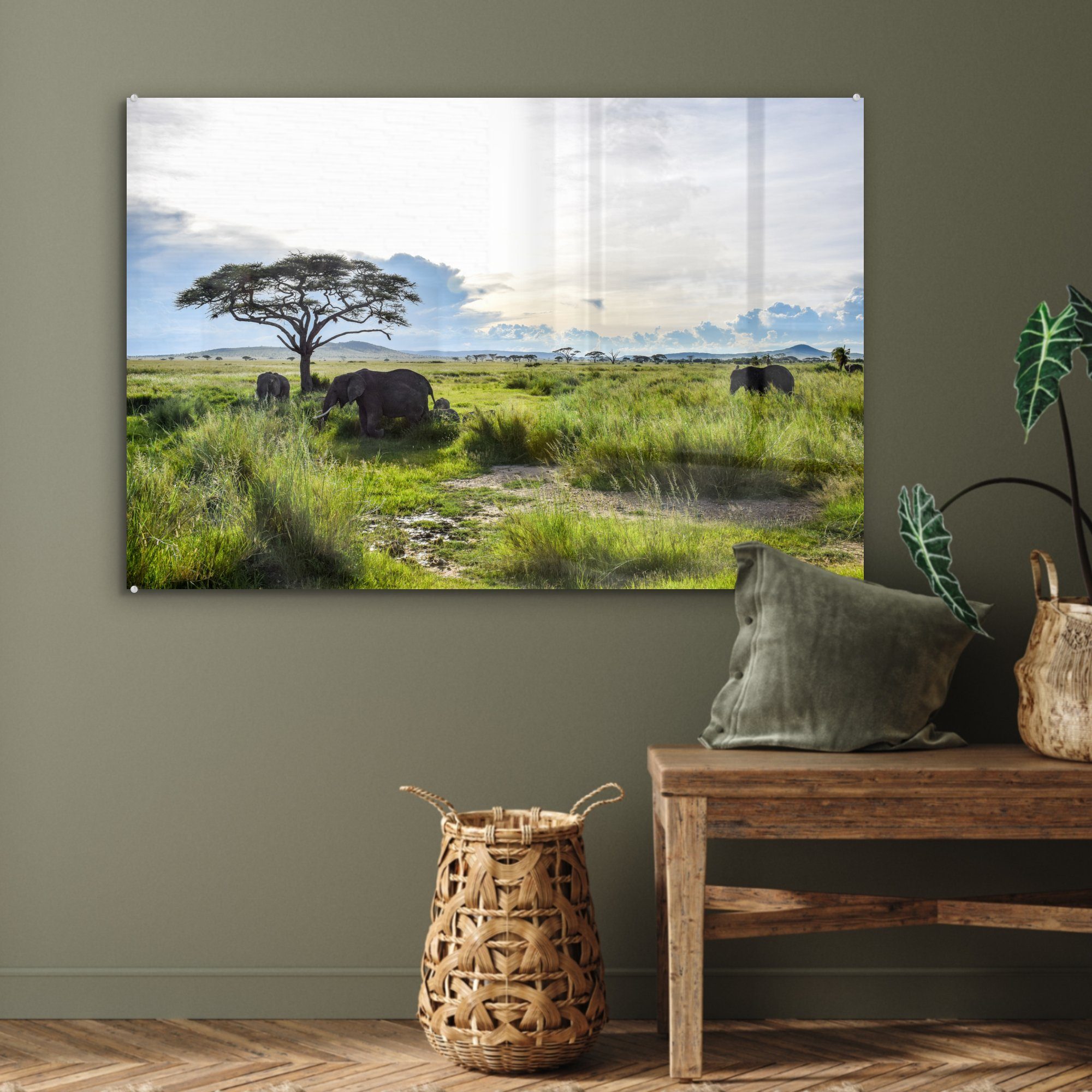 St), wilde im Acrylglasbild Wohnzimmer Serengeti-Nationalpark und grünes Hohes & Gras Acrylglasbilder (1 in, Tiere Schlafzimmer MuchoWow