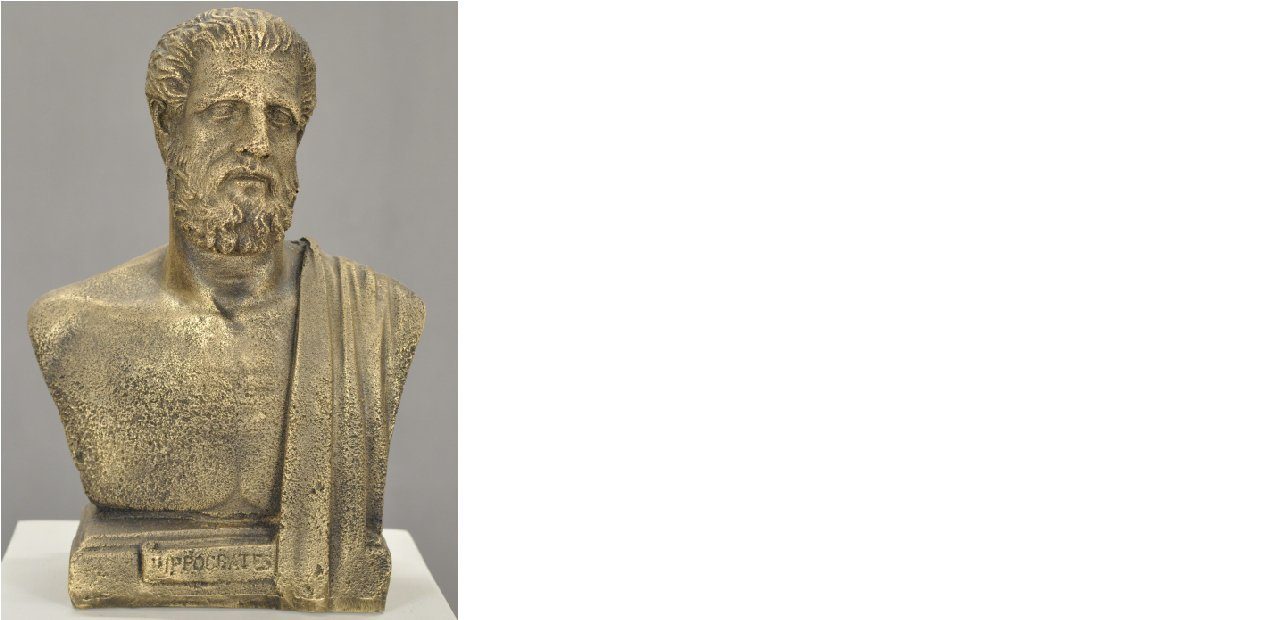 Figur JVmoebel Skulptur Figuren Design Hippokrates Deco Skulptur 2342 Statue Büste 32cm