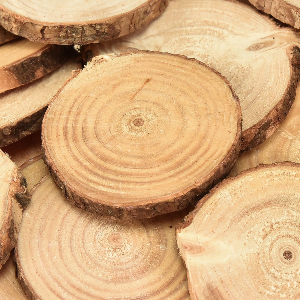 Trockenblume Mini Holzscheiben Deko Ø5-7cm Natur günstig online kaufen