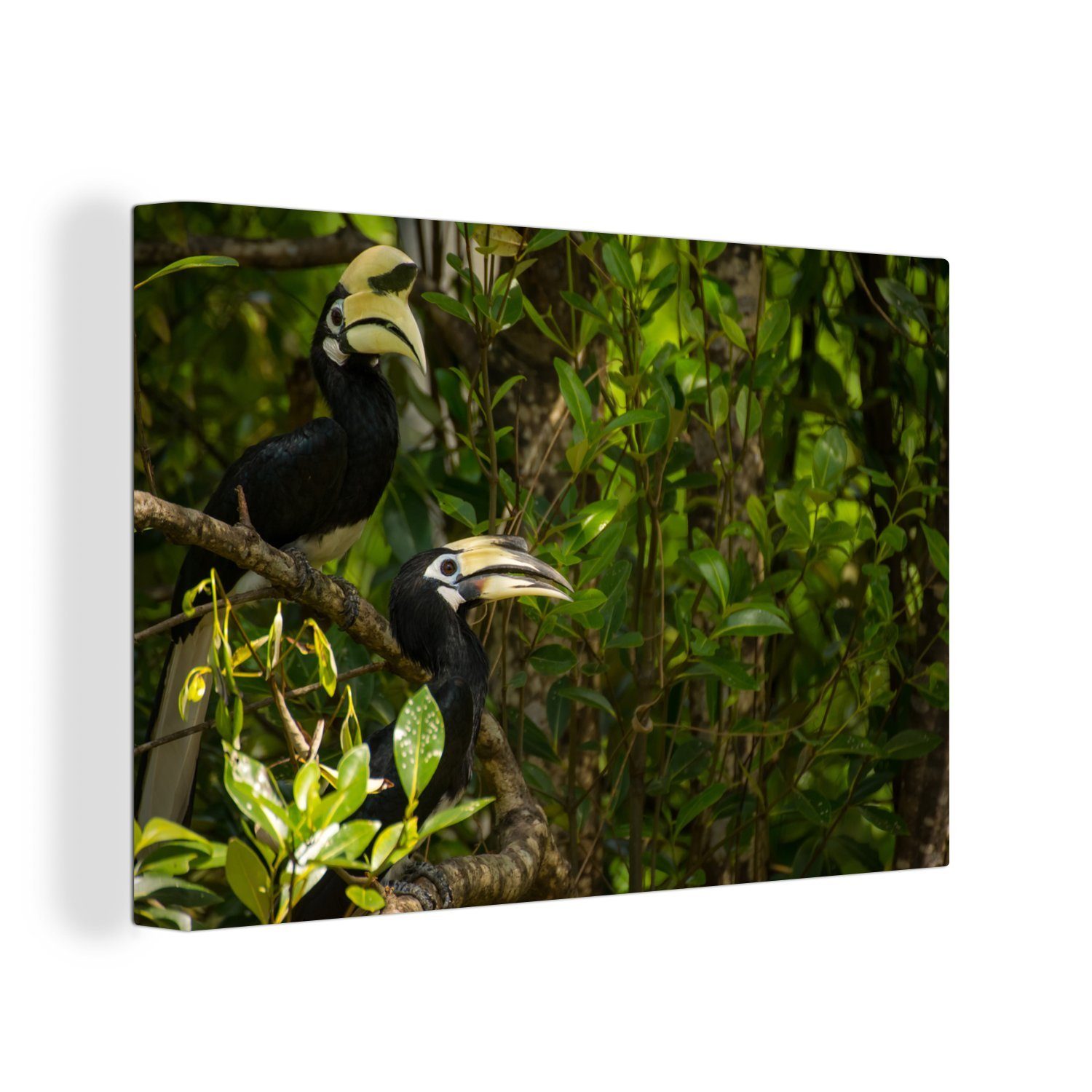 OneMillionCanvasses® Leinwandbild Hornvogel - Wanddeko, Wandbild Leinwandbilder, Blätter Aufhängefertig, St), Pflanzen, cm 30x20 (1 