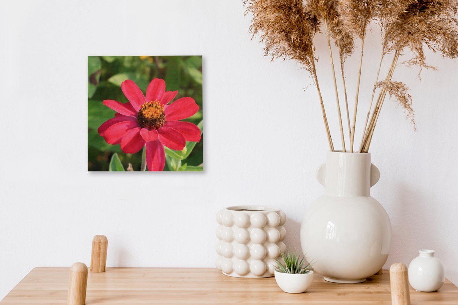 (1 für Bilder Leinwand Leinwandbild Wohnzimmer in Rote Zinnienblüte Blüte, OneMillionCanvasses® Schlafzimmer St),
