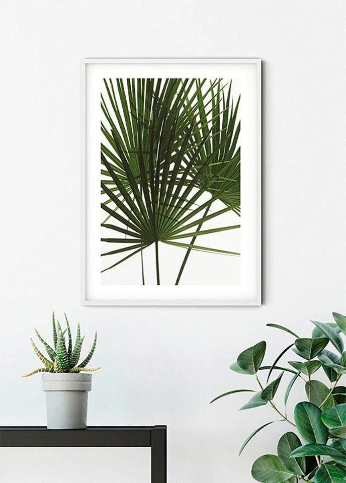 Komar Bild Palmtree Leaves, Pflanzen (1 St), Wandbild zur Dekoration - ohne Rahmen