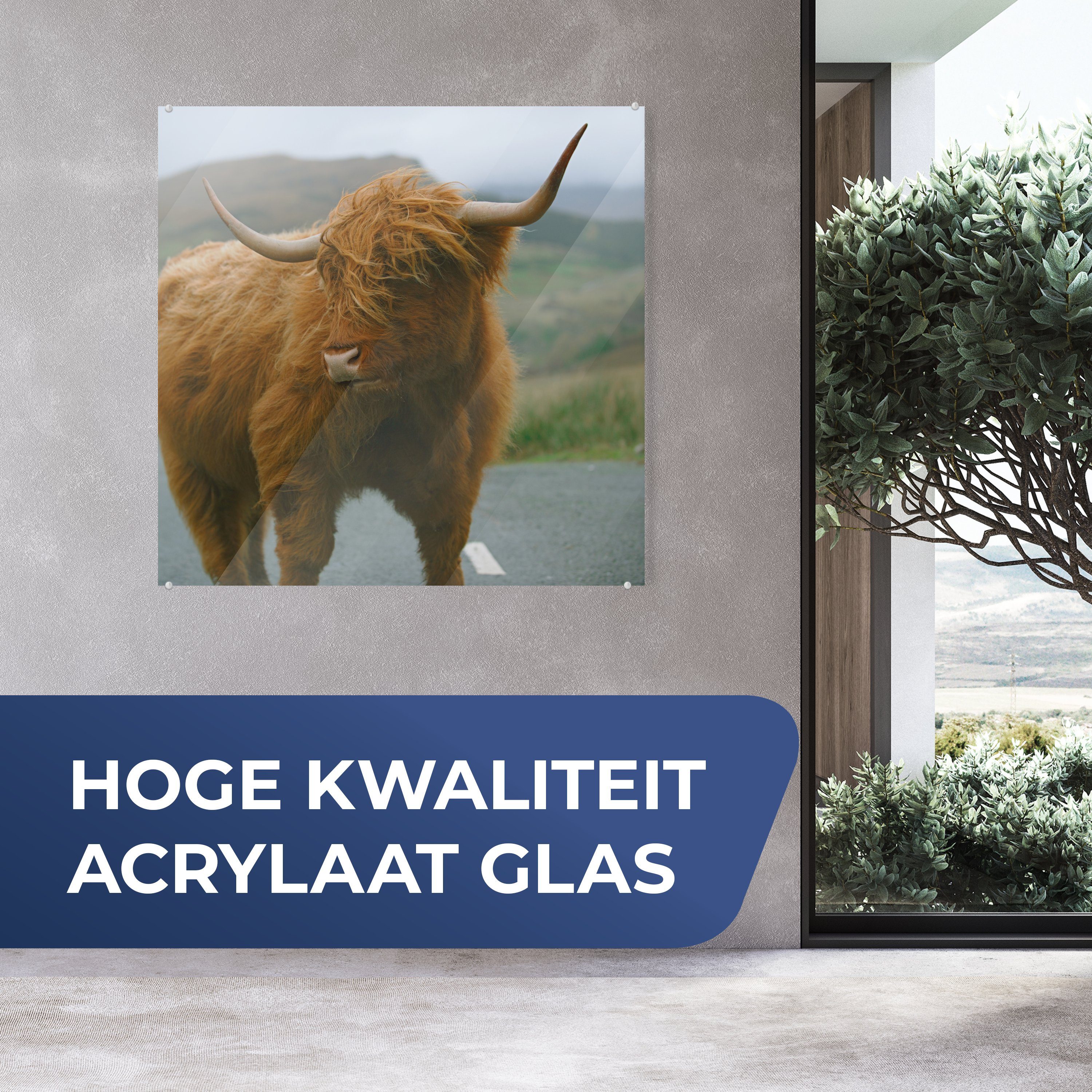 MuchoWow Acrylglasbild Schottischer Highlander - St), Bild Küche Glas für Straße, (1 Wohnzimmer auf - Berg & Dekorative