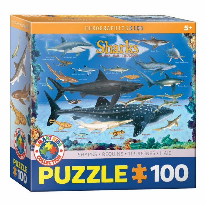 EUROGRAPHICS Puzzle Haie 100 Puzzleteile