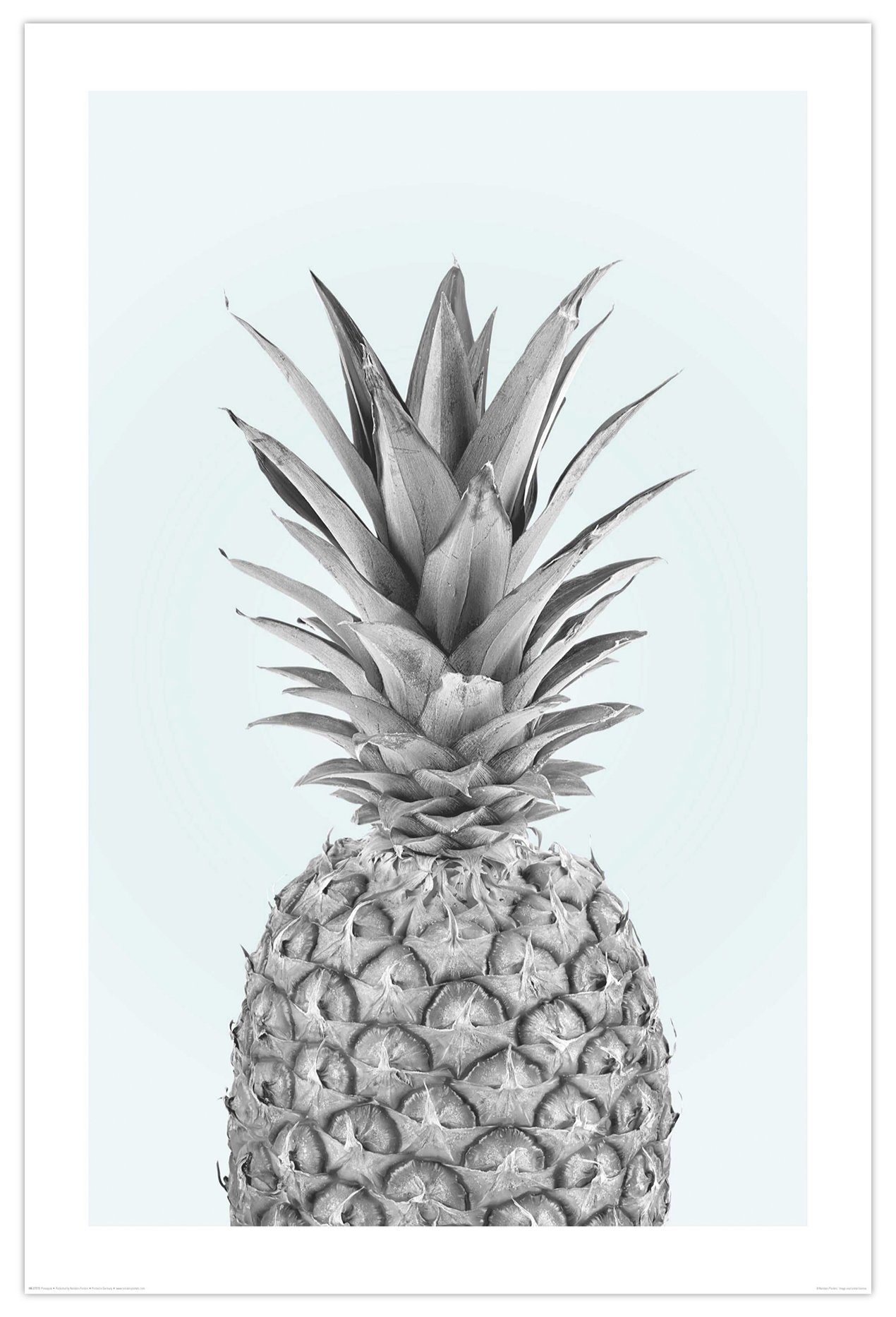 Close Up Poster Pineapple Poster Ananas 61 x 91,5 cm