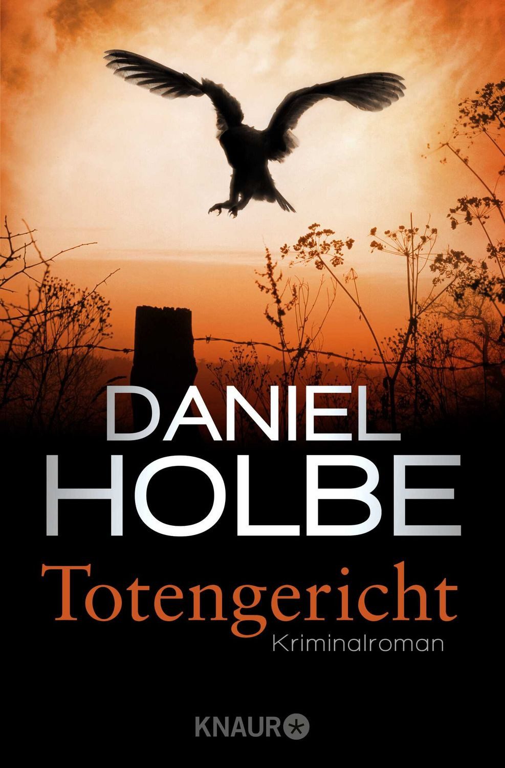 Belletristik Totengericht Kriminalroman Daniel Holbe