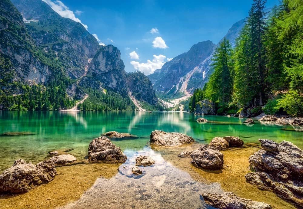 Castorland Puzzle 1000 tlg, Landschaften, Malerei, günstig online kaufen