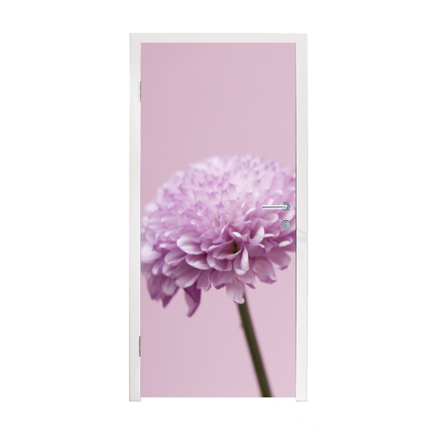 MuchoWow Türtapete Zwei rosa Tür, Chrysanthemen, cm 75x205 für Türaufkleber, Fototapete (1 bedruckt, St), Matt