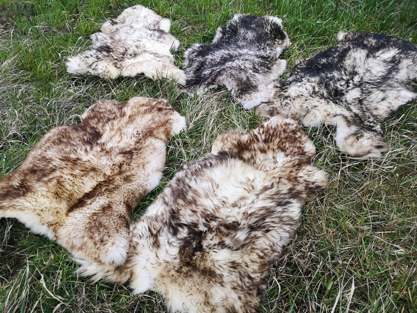 Provellus Fellteppich Geflammtes Öko Schaffell Lammfell Weich Naturfell Bis 140cm 2.Wahl, 30x30cm rund – Bild 3 von 3