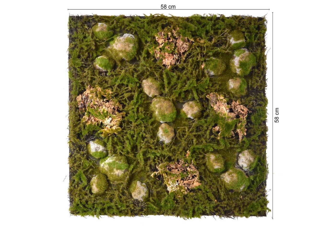 Thumbnail - Repiterra Terrarium Terrarium Rückwände für 60x60cm Terrarien