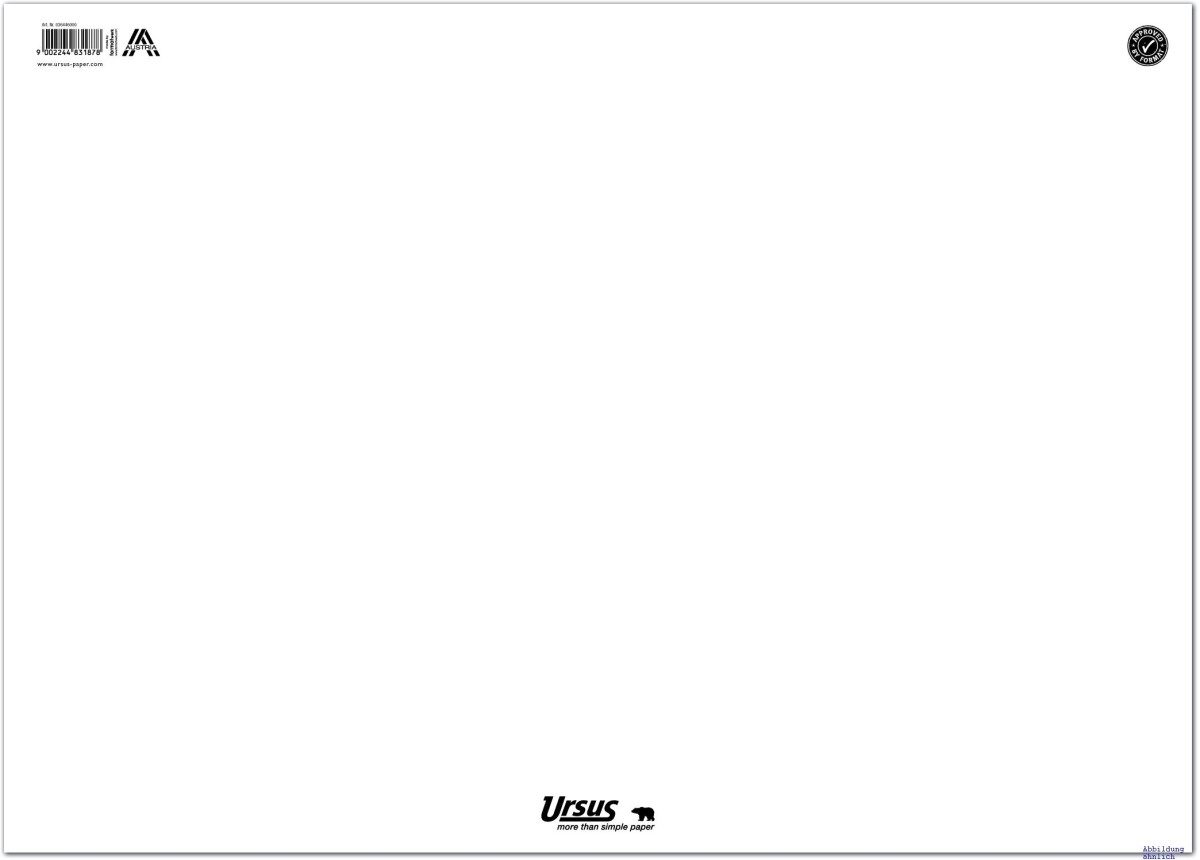 Ursus - Ludwig Bähr Schreibtischunterlage Schreibunterlage 52,5x37,5cm blanko VE=40 Blatt