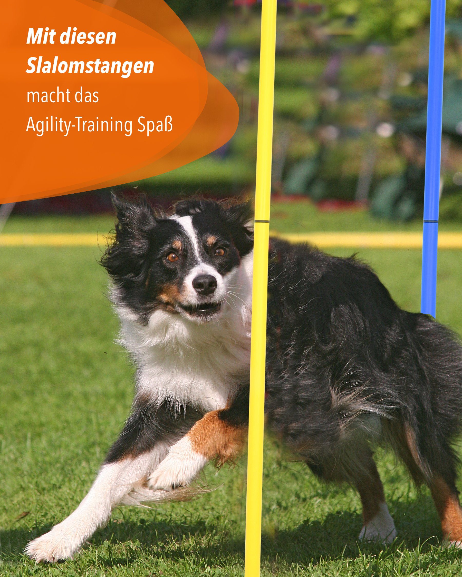 Superhund Agility-Slalom Slalomstange 180 ø 32 mm Farbe Gelb