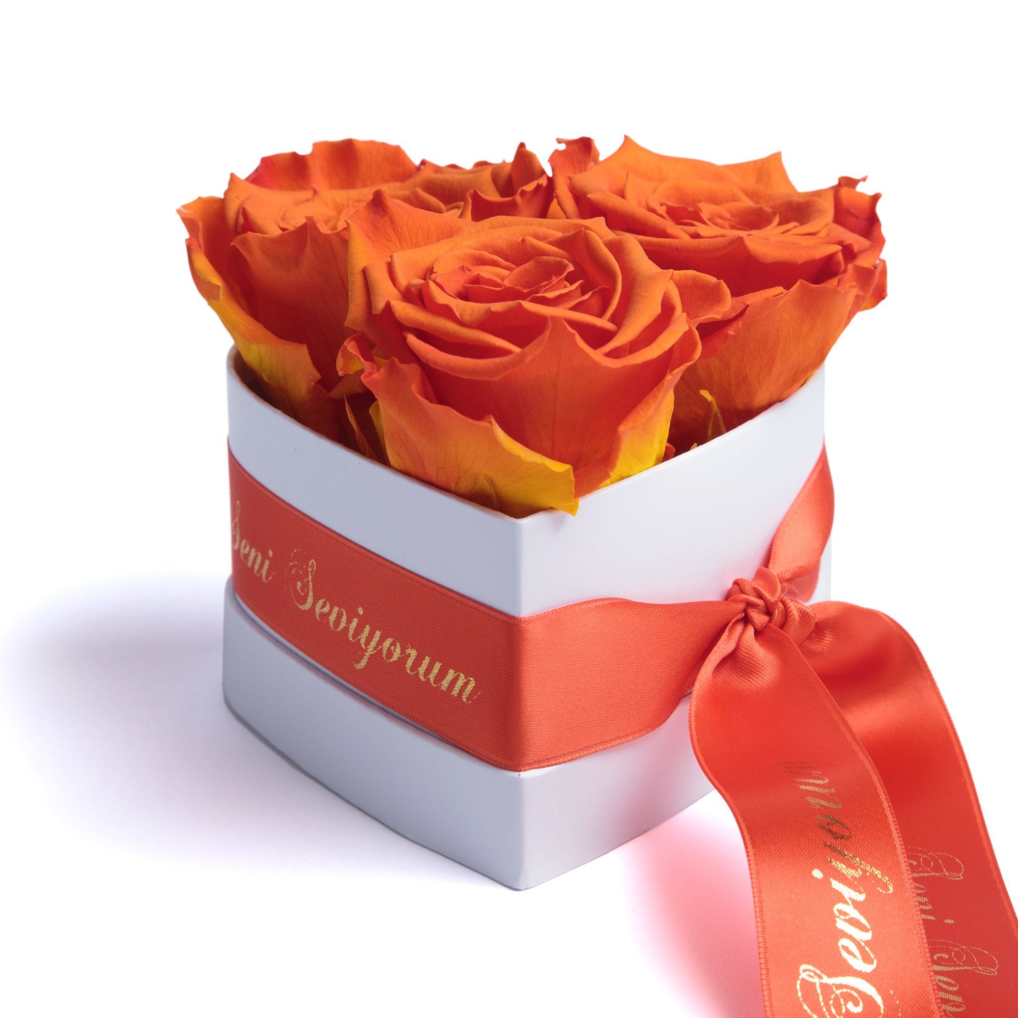 echte Rosenbox konserviert Infinity haltbar Kunstblume lang 3 Rose, cm, ROSEMARIE echte 10 Herz Seni Orange Rosen Rosen Heidelberg, Höhe SCHULZ Seviyorum