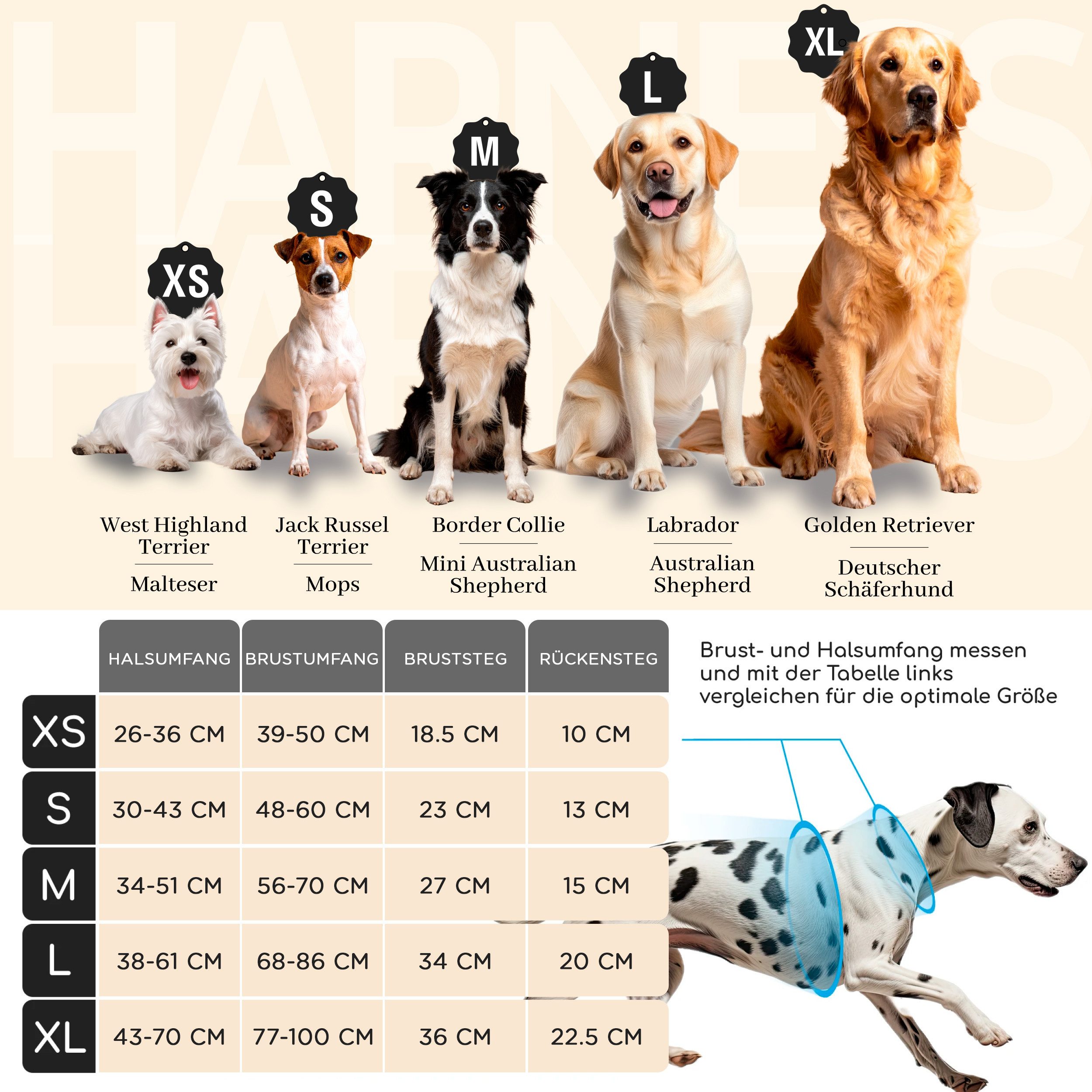 Freudentier Hunde-Geschirr Hundegeschirr mit atmungsaktiver Polsterung, perfekter Sitz, Anti-Zug Brustgeschirr, reflektierend