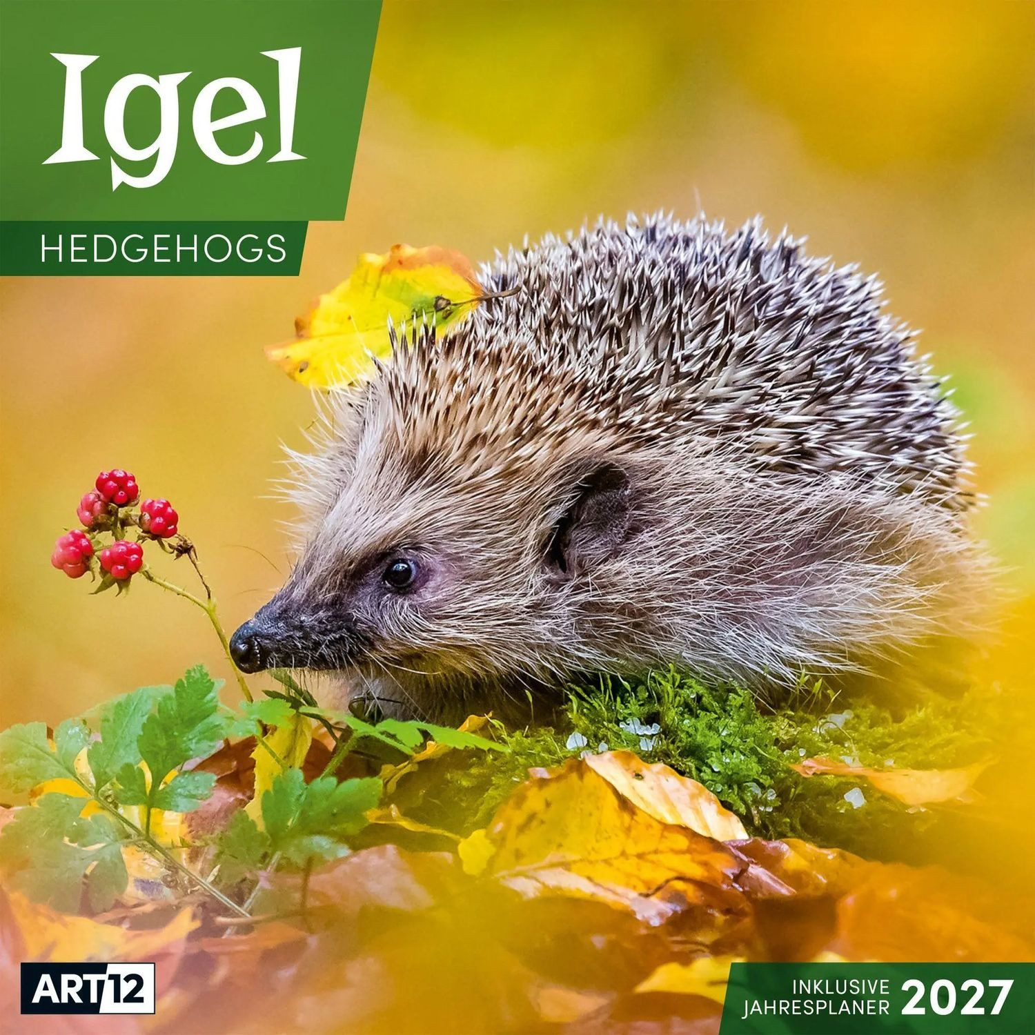 Ackermann Wandkalender Igel Kalender 2027 - 30x30 - Art12