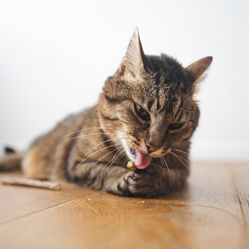LucyBalu Tier-Intelligenzspielzeug 6x Matatabi Sticks für Katzen zur Katzen Zahnpflege & Katzenspielzeug, (6-tlg)
